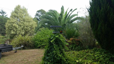 Cottage By The Bay - Kingaroy Accommodation 2
