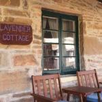Lavender Cottage B & B - Kingaroy Accommodation 0