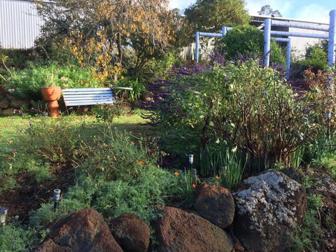 Chestnut Brae Farmstay - Kingaroy Accommodation 4