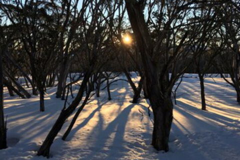 Cloud 9 Alpine Lodge - Kingaroy Accommodation 1