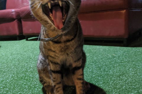 Jump Inn Alice Budget Accommodation - Kingaroy Accommodation 1