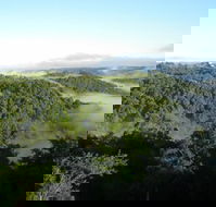 Montville Holiday House - Kingaroy Accommodation