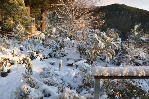 Pipeline Chalet Kunanyi Mt. Wellington - Kingaroy Accommodation 4