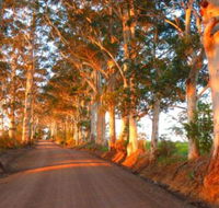 Innisfree Mountain Retreat - Kingaroy Accommodation