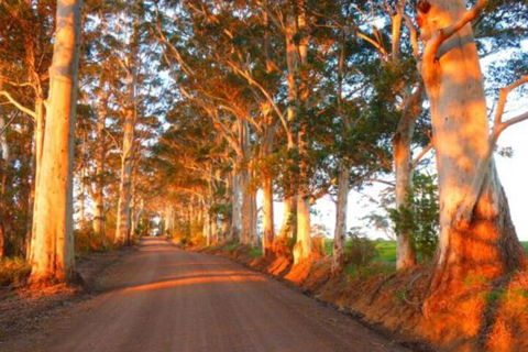 Innisfree Mountain Retreat - Kingaroy Accommodation 0