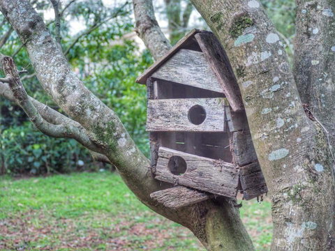 Lark Cottage - Kingaroy Accommodation 3