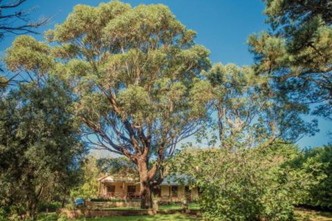 Secluded Homestead Amongst The Trees - Kingaroy Accommodation 3