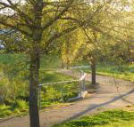 A Suite Spot in the Hills - Kingaroy Accommodation