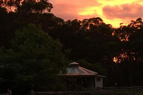 Ionaforest Yurt & Shepherds Hut - Kingaroy Accommodation 4