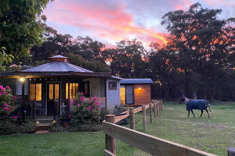Ionaforest Yurt & Shepherds Hut - Kingaroy Accommodation 3