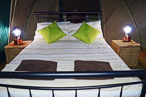 Nulla Nulla Farm Retreat - Kingaroy Accommodation 7