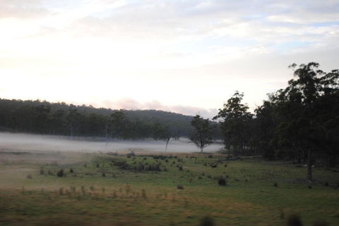 A Slice Of Paradise - Kingaroy Accommodation 3