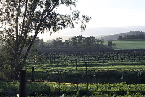 Jasmine's Cottage - Kingaroy Accommodation 0