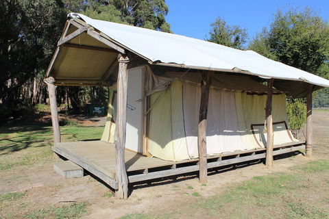 Wonky Stables Holiday Park - Kingaroy Accommodation 4