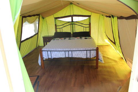 Wonky Stables Holiday Park - Kingaroy Accommodation 5