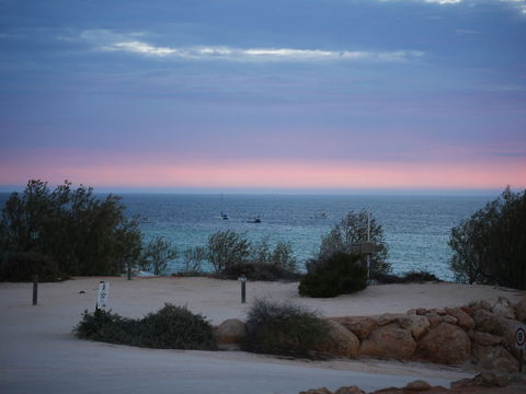 Denham Seaside Caravan Park - Kingaroy Accommodation 1