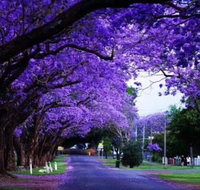 Park view on the City Fringe - Kingaroy Accommodation