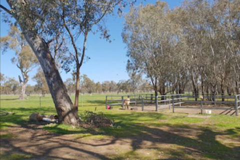 Jindera Park - Kingaroy Accommodation 2