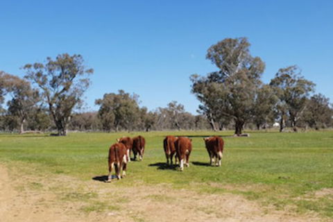Jindera Park - Kingaroy Accommodation 0
