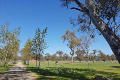 Jindera Park - Kingaroy Accommodation 1