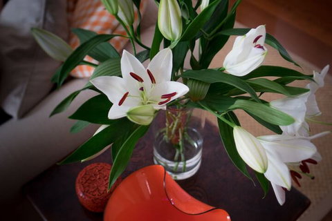 The Kinninmont House - Kingaroy Accommodation 4