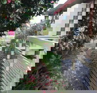 The Glen Family House - Kingaroy Accommodation