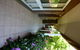 Clarence House Bright - thumb 6