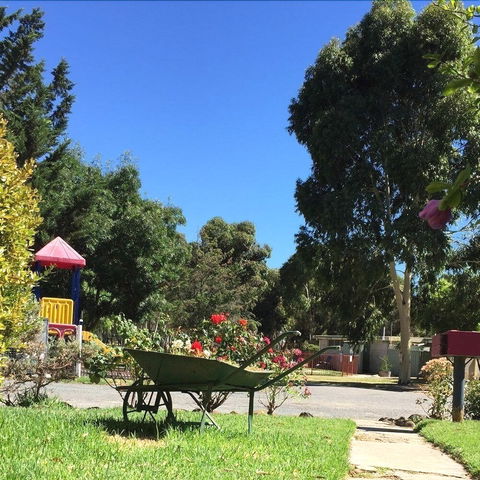 Acacia Caravan Park - Kingaroy Accommodation 6