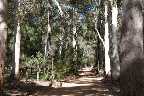 Karrak Reach Forest Retreat - Kingaroy Accommodation 4