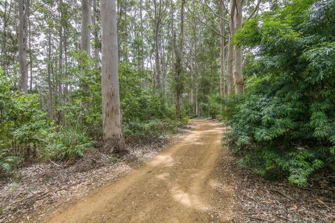Karrak Reach Forest Retreat - Kingaroy Accommodation 3