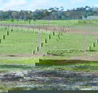 Yea Woodduck Cottage - Kingaroy Accommodation