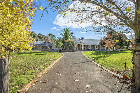 Orchards At Spring Vale Farm - Kingaroy Accommodation 2
