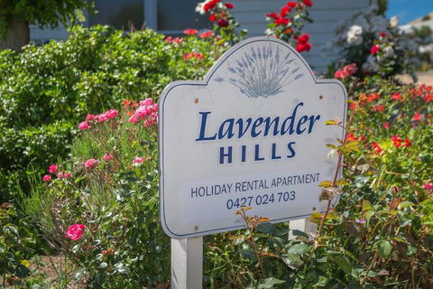 Lavender Hills 12 Bennett Street - Kingaroy Accommodation 7