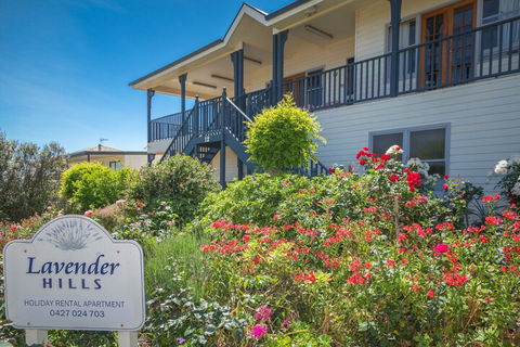 Lavender Hills 12 Bennett Street - Kingaroy Accommodation 3