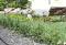 Comfort Inn Albany - Kingaroy Accommodation 4