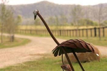 Pemberley Grange - Kingaroy Accommodation 0