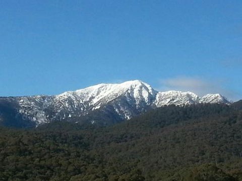 Alps Lodge - Kingaroy Accommodation 4