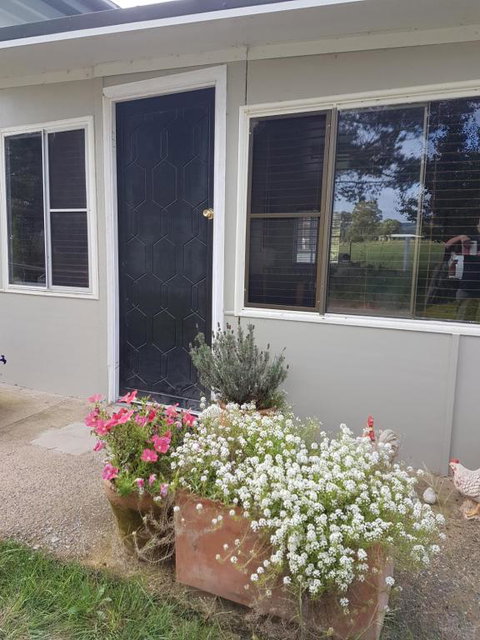 Happy Pig Farm - Kingaroy Accommodation 2