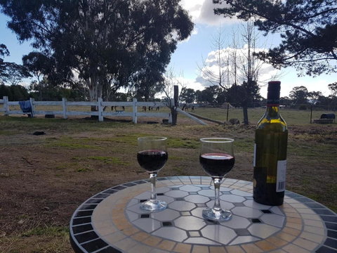 Happy Pig Farm - Kingaroy Accommodation 1