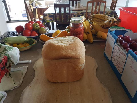 Happy Pig Farm - Kingaroy Accommodation 3