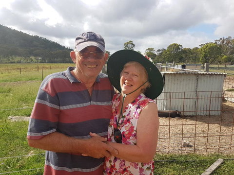 Happy Pig Farm - Kingaroy Accommodation 5