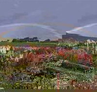 Boat Harbour Garden Cottages - Kingaroy Accommodation