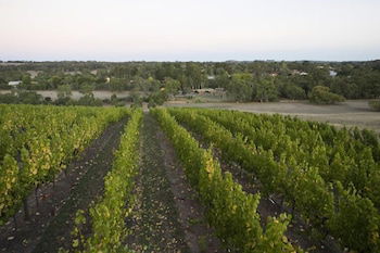 Barristers Block Vigneron Villa - Kingaroy Accommodation 3