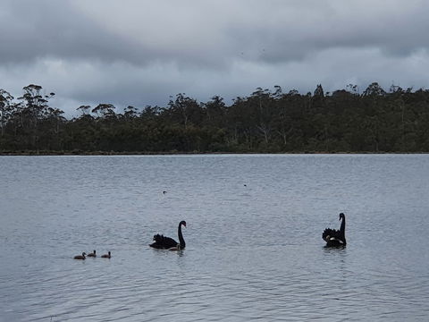 Lake Yalleena Nature Retreat - Kingaroy Accommodation 0