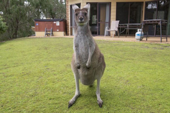 Metricup WA Kingaroy Accommodation