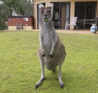 Yelverton Brook Conservation Sanctuary - Kingaroy Accommodation