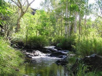 Mt Hart Homestead - Kingaroy Accommodation 4