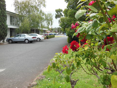 Ringwood Motel - Kingaroy Accommodation 1