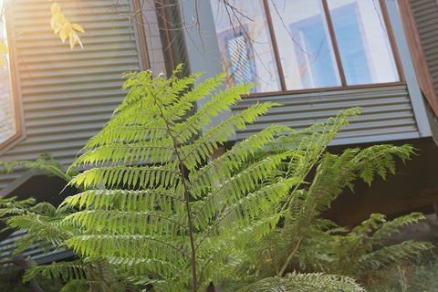 Cladich Pavilions - Kingaroy Accommodation 1