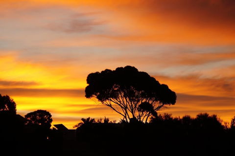 Lindsays Of Kangaroo Island - Kingaroy Accommodation 0